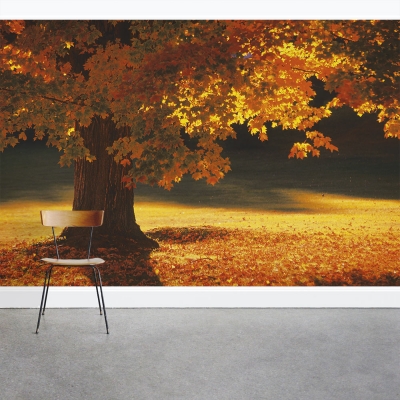 Under the Maple Tree Wall Mural